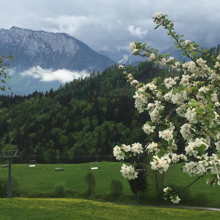 Bergschloessl Fewo 28 Oberaudorf Ruang foto